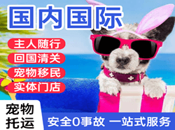 杭州航空货运国际宠物托运 【国